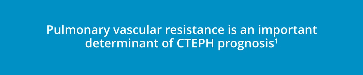 Standard approaches for catheter access image Standard approaches for catheter access image
